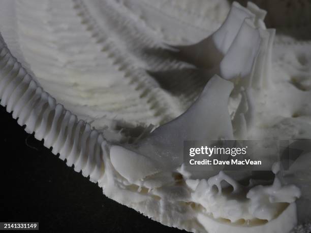 exquisite details of broken urchin shell - southport north carolina stockfoto's en -beelden