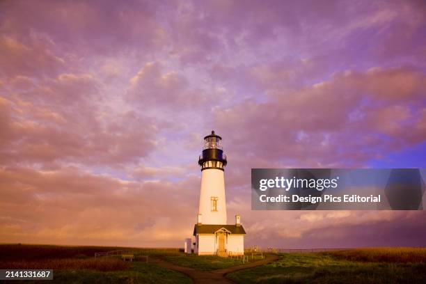 174 Yaquina Head Light Stock Photos, High-Res Pictures, and Images ...