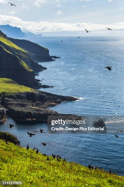 Ferry approaches the cliffs of a scenic island.