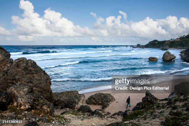 Rugged rock and boulders on the beach along the coast of Barbados at Bathsheba. Bathsheba, Barbados.