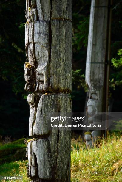 Two totem poles at SGang Gwaay Llanagaay, Ninstints in English, an abandoned Haida village site on Anthony Island. Anthony Island, Haida Gwaii,...