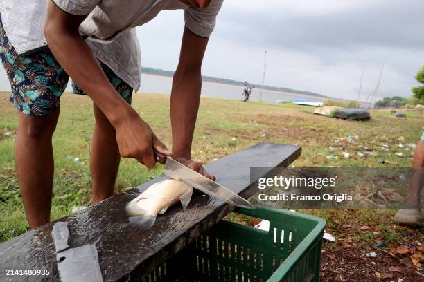 Man cleans fish at the port on the Orinoco River on April 05, 2024 in Puerto Carreño, Colombia. Puerto Carreño is the departmental capital city, and...