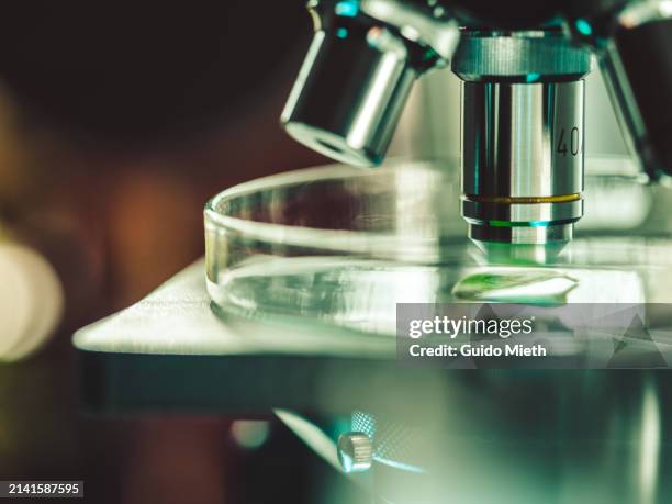 Microscopic In Lab 7,903 Clinical Lab Microscope Stock Photos, High-Res Pictures, and ...