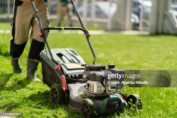 mowing the grass - grasmaaier stockfoto's en -beelden