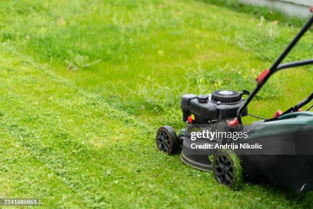 segar el césped - segadora fotografías e imágenes de stock
