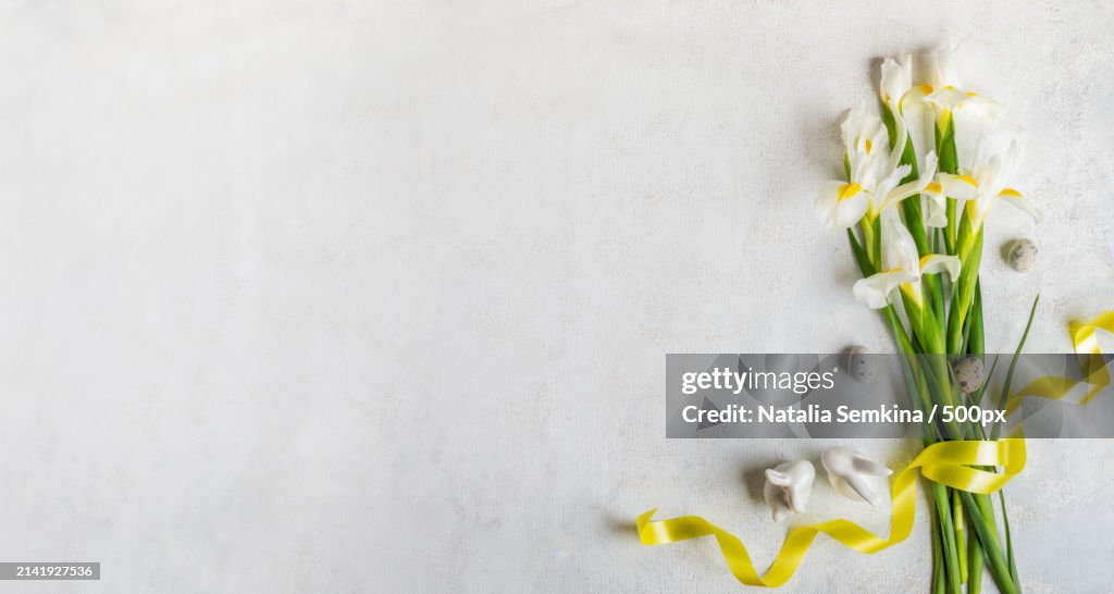 Close-up of flowers on white background