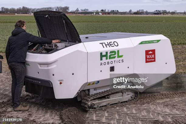 Allan Visser, a third generation tulip farmer shows 'Theo' in action, the H2L Robotics creation, an autonomous vehicle in the tulip fields, helping...