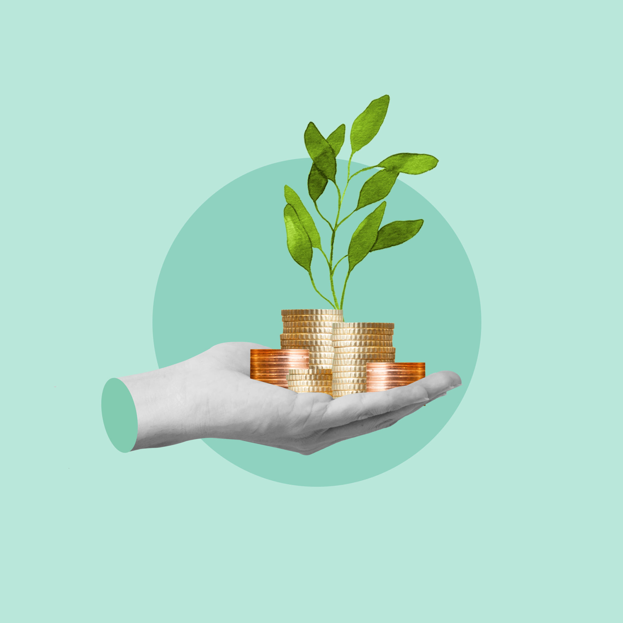 investment concept