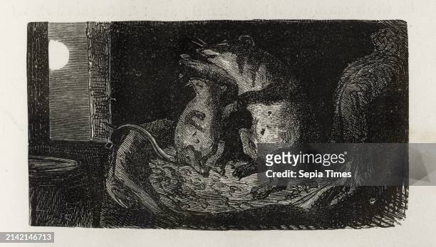 Amour au clair de lune, Doré, Gustave, Dessinateur, Predhomme, Eugene, Graveur, En 1855, 19e siecle, Arts graphiques, Manuscrits, imprimés, reliure,...