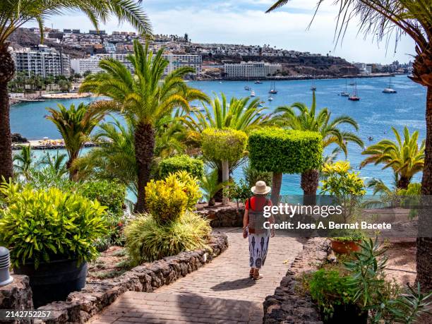 a woman walking by the sea in a tourist city on the canary islands in spain. - gran canaria bildbanksfoton och bilder