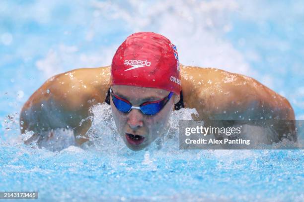 Frey Colbert Freya Colbert Photos and Premium High Res Pictures - Getty Images