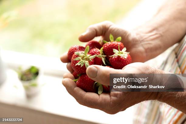 hands of man holding strawberries - big country breakfast stock pictures, royalty-free photos & images