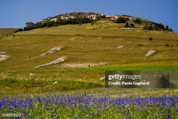 castelluccio 2015 - castelluccio stock pictures, royalty-free photos & images