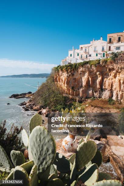 cliffside beauty of vieste, cacti and azure seas - adriatic sea stock pictures, royalty-free photos & images