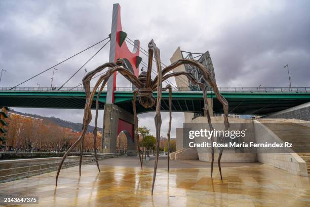 maman sculpture of the spider with la salve bridge and bilbao city on background . - sculpture stock pictures, royalty-free photos & images