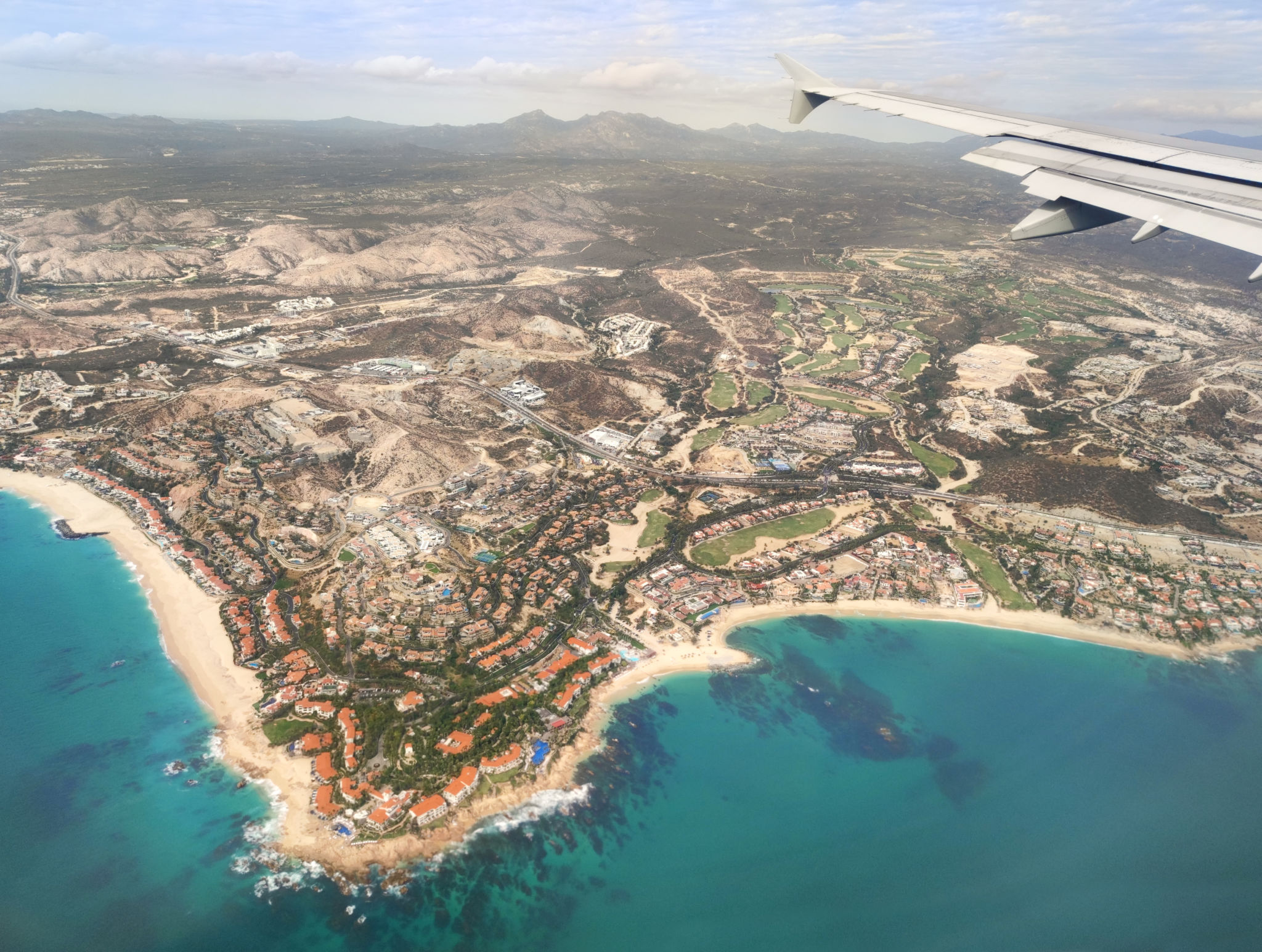 marine life los cabos