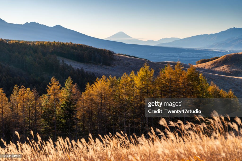 Beautiful Scenery And Mount Fuji At Kirigamine Highland In Nagano Japan ...