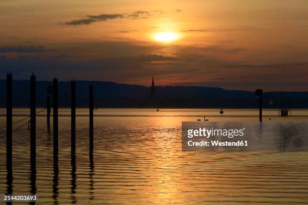 germany, baden-wurttemberg, moos, bodensee lake at sunrise - westend61 stock-fotos und bilder