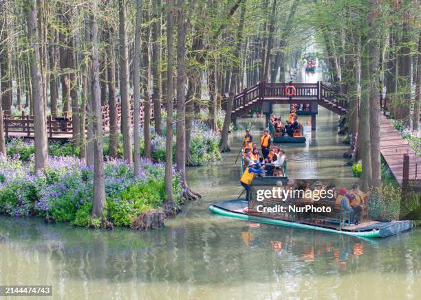 Tourists are riding a bamboo raft at the Lizhong Water Forest scenic spot in Xinghua, China, on April 9, 2024.