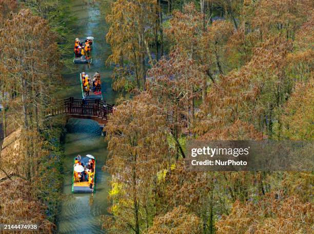 Tourists are riding a bamboo raft at the Lizhong Water Forest scenic spot in Xinghua, China, on April 9, 2024.