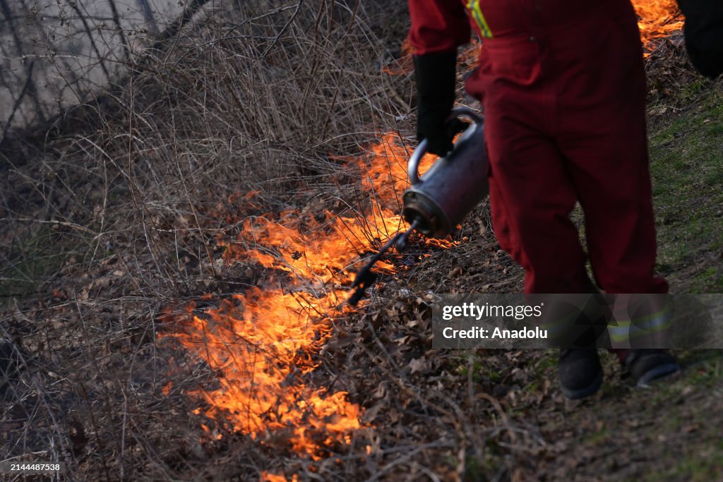 Prescribed Burn at Toronto's High Park