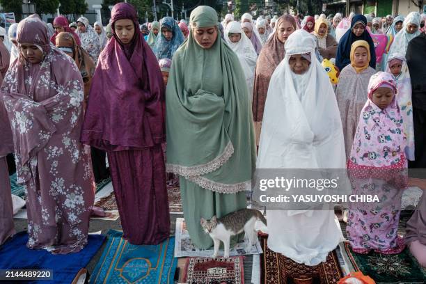 Stray cat stands amid Muslims taking part in Eid al-Fitr prayers, marking the end of the holy month of Ramadan, on a street in Jakarta on April 10,...