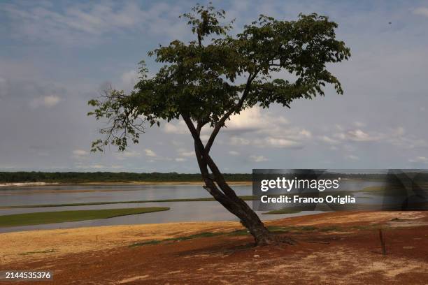 View of the Bita river on April 06, 2024 in Puerto Carreño, Colombia. Puerto Carreño is the departmental capital city, and a municipality combined of...