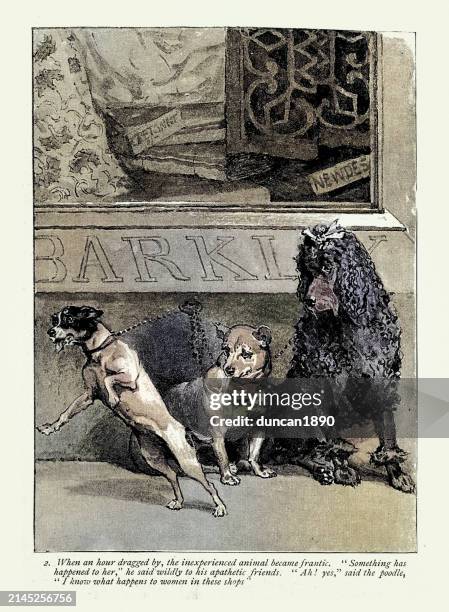 vintage illustration, dogs tied up outside shop, victorian history pets, 1890s 19th century - pet lead stock illustrations