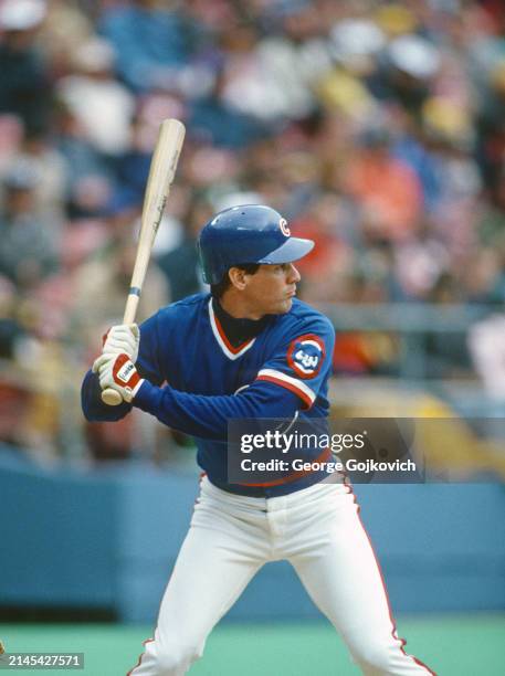 Ryne Sandberg of the Chicago Cubs bats against the Pittsburgh Pirates during a game at Three Rivers Stadium in 1988 in Pittsburgh, Pennsylvania.