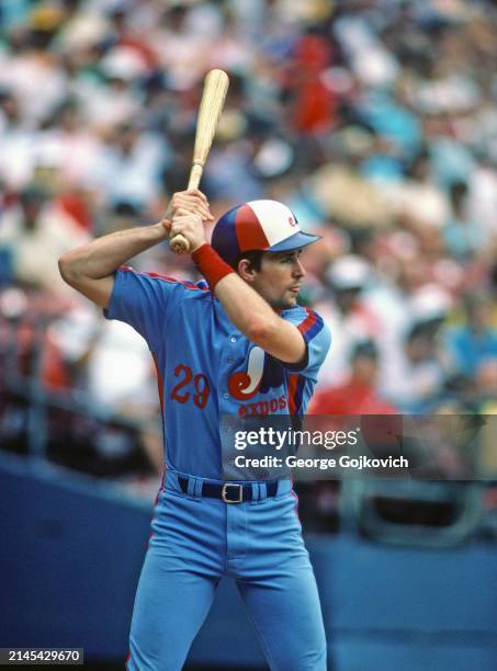 Tim Wallach of the Montreal Expos bats against the Pittsburgh Pirates during a Major League Baseball game at Three Rivers Stadium in 1987 in...