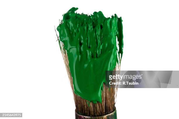 brush with green paint isolated on white background - best r stock pictures, royalty-free photos & images