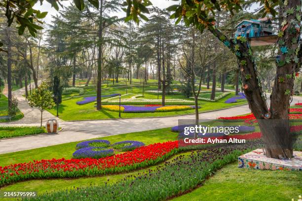 the emirgan park in sariyer district of istanbul, turkey - emirgan park photos et images de collection