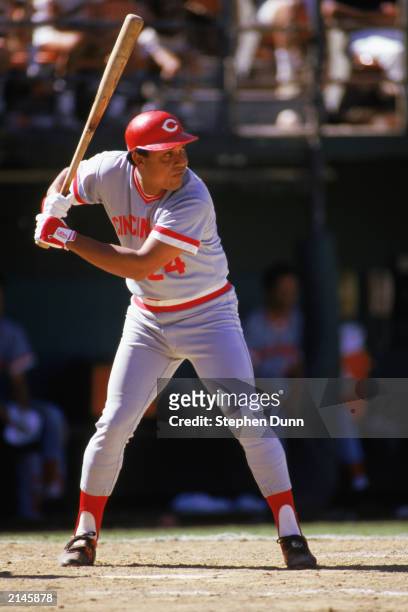 Tony Perez of the Cincinnati Reds stands ready at bat during a MLB game in the 1985 season.