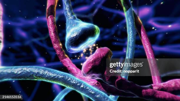 neuron synapse,impulses in brain. - dopaminergic system stock pictures, royalty-free photos & images