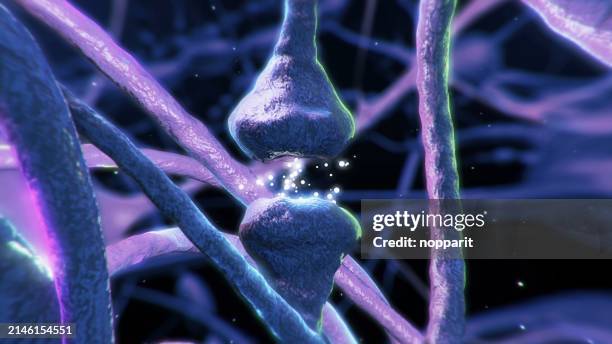 neuron synapse,impulses in brain. - dopaminergic system stock pictures, royalty-free photos & images