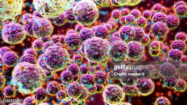 streptococcus. - blodpropp bildbanksfoton och bilder