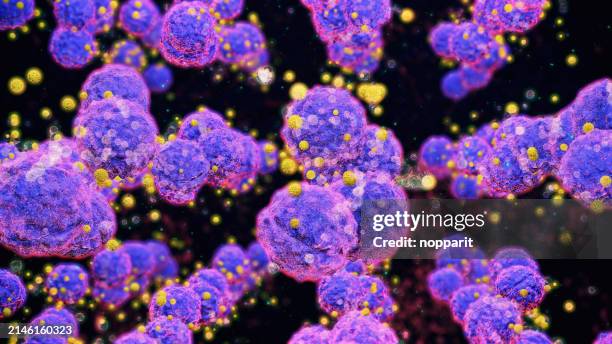 streptococcus. - anaerobe stock pictures, royalty-free photos & images