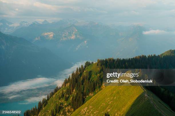 scenic view from hike to augstmatthorn in summer - national bravery stock pictures, royalty-free photos & images