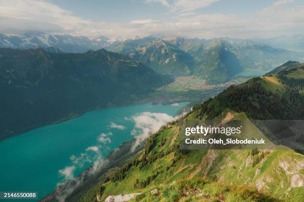 scenic view from hike to augstmatthorn in summer - national bravery stock pictures, royalty-free photos & images