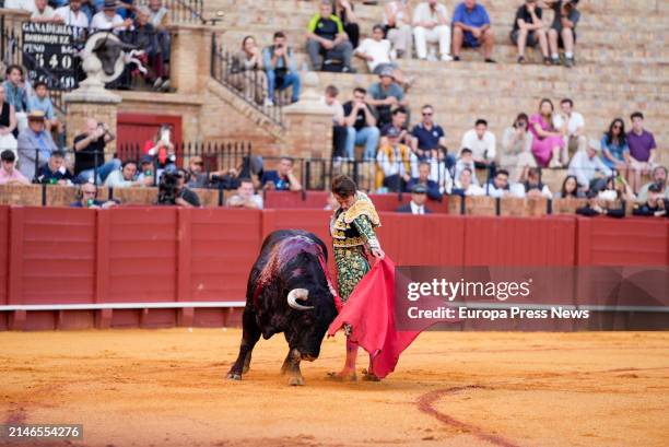 The bullfighter, Lama de Gongora during his bullfight, on April 7 in Seville, Andalusia, Spain. In the second bullfight at the Plaza de la Real...
