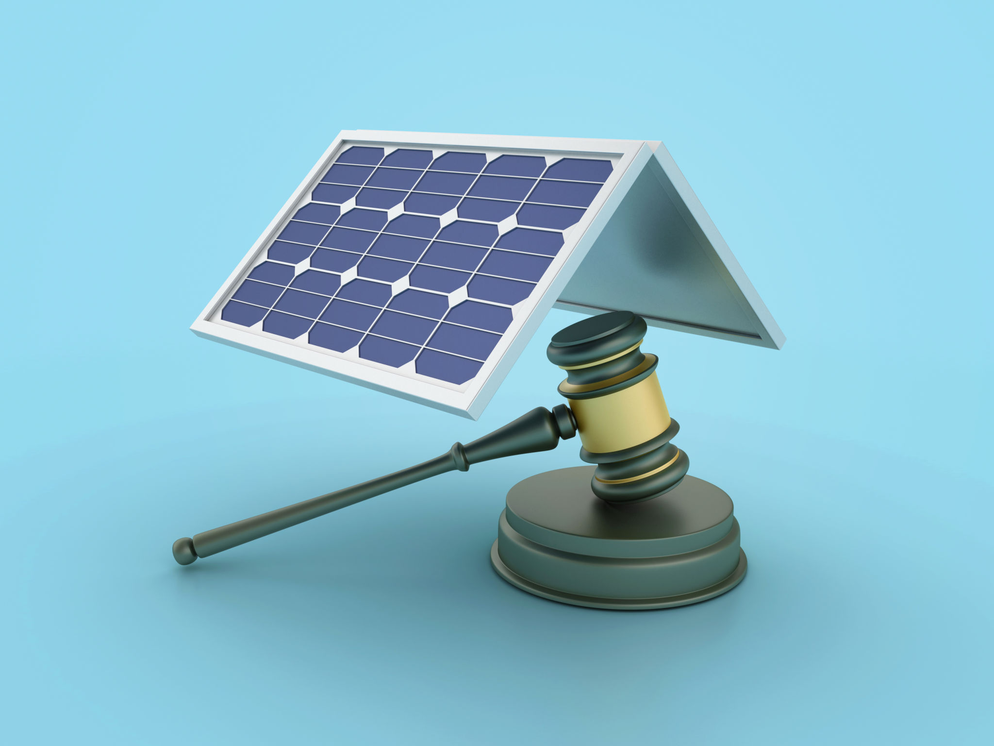 sustainable auction