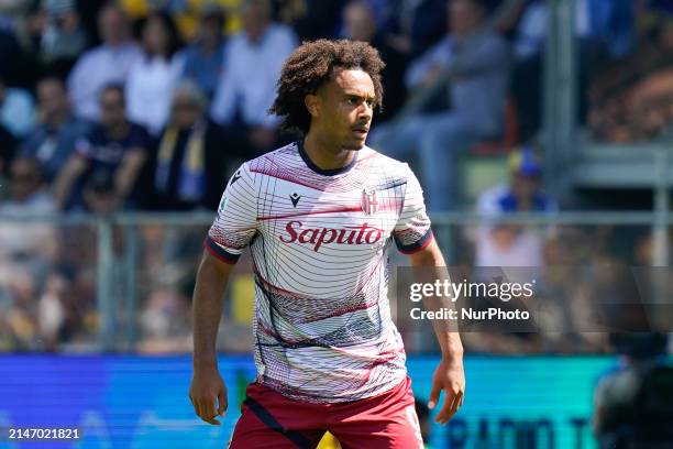 Joshua Zirkzee of Bologna FC looks on during the Serie A TIM match between Frosinone Calcio and Bologna FC at Stadio Benito Stirpe on April 7, 2024...