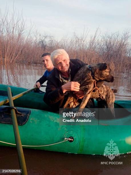 Russian officials evacuate the dogs from flooded areas as the Russian Emergency Situations Ministry reported that the number of flood-affected...