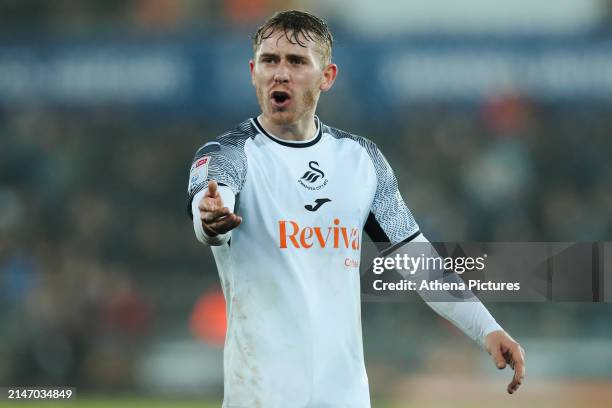 Oliver Cooper of Swansea City protests to the assistant referee during the Sky Bet Championship match between Swansea City and Stoke City at the...