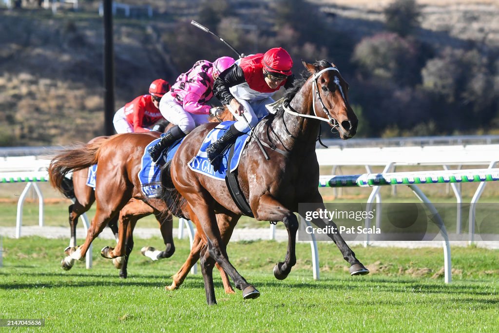 Macedon Ranges Ranger Snappy Pierro ridden by Jason Maskiell wins the Macedon Ranges Glass ...