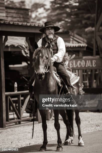 sepia tone action cowboy portrait. - vintage stocking stock pictures, royalty-free photos & images