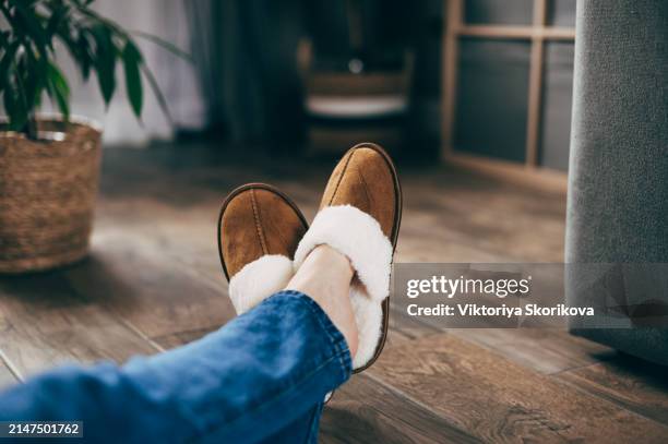woman in soft slippers at home, closeup - chinelos imagens e fotografias de stock