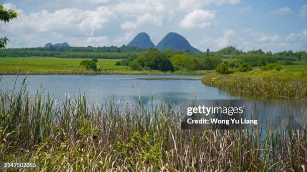 bukit chabang view at perlis - perlis state park stock pictures, royalty-free photos & images