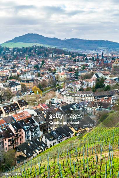 freiburg in germany with vineyard - freiburg skyline stock pictures, royalty-free photos & images