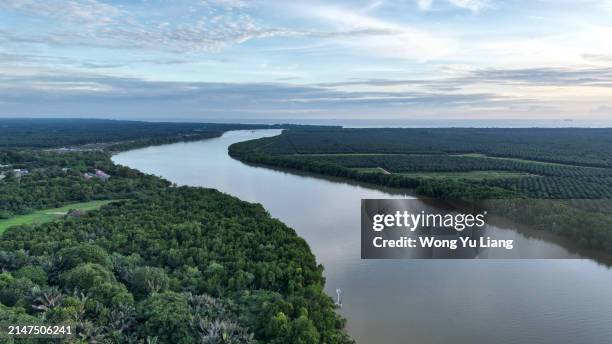 sungai langat river view from bukit jugra - estado de selangor fotografías e imágenes de stock